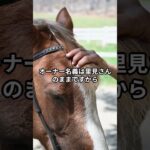 1月21日の船橋7R推奨馬  #競馬 #競馬予想