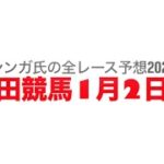 1月2日園田競馬【全レース予想】2025香美町松葉ガニ特別