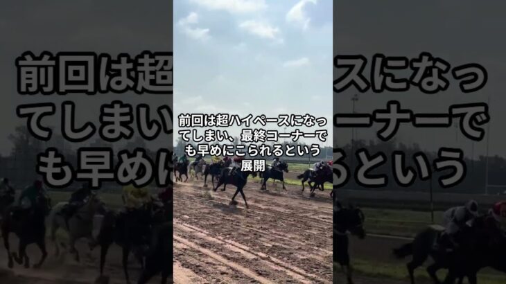 1月22日の船橋4R推奨馬 #競馬 #競馬予想