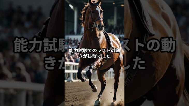 1月24日の船橋2R推奨馬 #競馬 #競馬予想