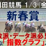 1/3(金) 園田競馬11R【新春賞】《地方競馬 指数グラフ・予想・攻略》