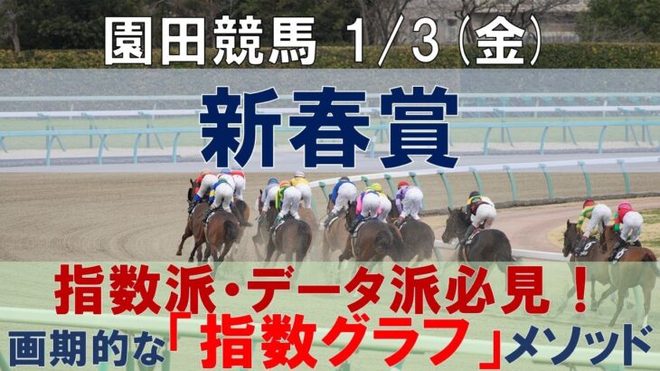 1/3(金) 園田競馬11R【新春賞】《地方競馬 指数グラフ・予想・攻略》