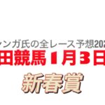 1月3日園田競馬【全レース予想】2025新春賞