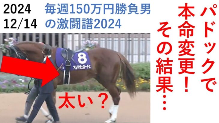 朝日杯、パドックで本命変更した結果… 毎週150万円勝負男の激闘譜2024　2024年12月14日