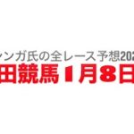 1月8日園田競馬【全レース予想】2025大和なでしこ卵特別