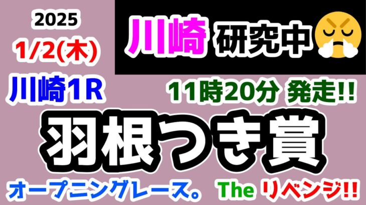 【川崎競馬研究中😏】2日目の川崎オープニングレース🎍  The リベンジ😤【2025.1.2 川崎1R 羽根つき賞】