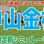 中山金杯2025 枠順確定前シミュレーション【競馬予想】【展開予想】ホウオウビスケッツ クリスマスパレード シンリョクカ リカンカブール ボーンディスウェイ アルナシーム