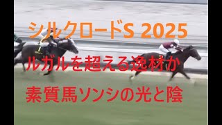 シルクロードステークス 2025 ルガルを超える逸材か 実質連勝中の素質馬ソンシの光と陰