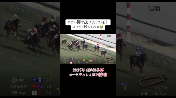 2025年 日経新春杯 ロードデルレイ！惜しい競馬続いてたけど勝ち切り！ #競馬 #競馬予想 #日経新春杯