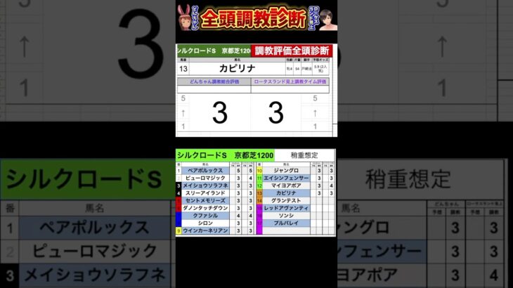 #シルクロードステークス2025 #競馬予想ハイライト #全頭診断  #マイヨアポア　#グランテスト　#レッドアバンティ　#カピリナ