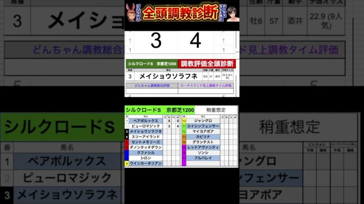 #シルクロードステークス2025 #競馬予想ハイライト #全頭診断  #ピューロマジック　#メイショウソラフネ