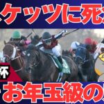 【中山金杯2025出走馬評価】お年玉は隠れコース巧者が持っている！勝率と絶対能力値で見つける中山適性バツグンの穴馬【競馬予想】