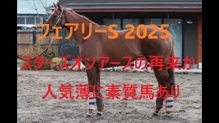 フェアリーステークス 2025 スターズオンアースの再来か 人気薄に素質馬あり