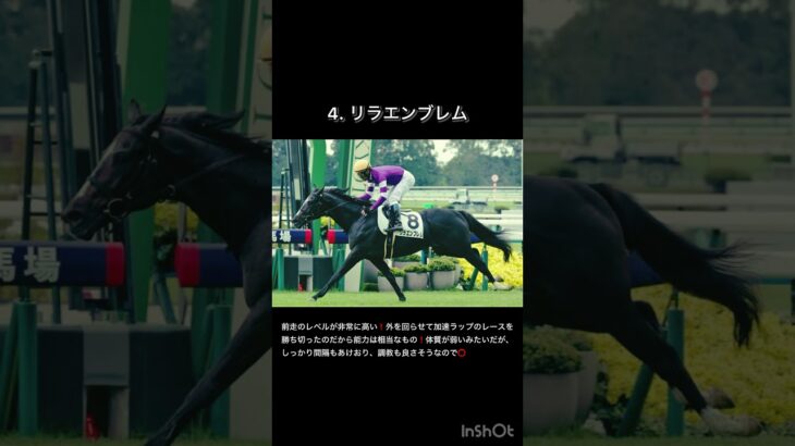 【シンザン記念2025】軸馬予想 #シンザン記念予想 #競馬予想 #シンザン記念本命