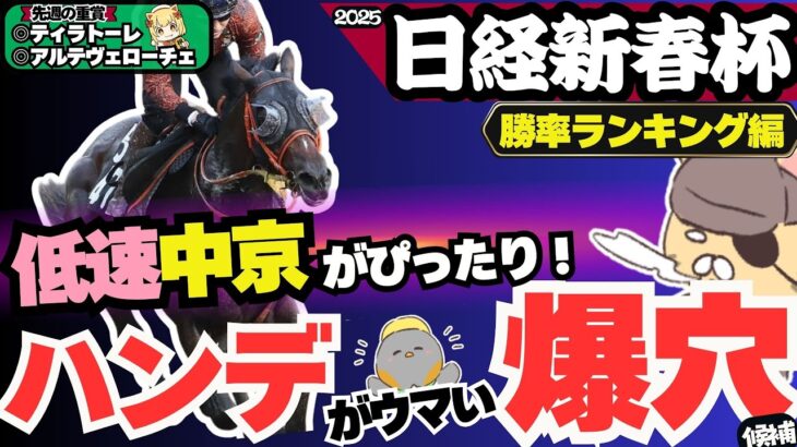 【日経新春杯2025】ハンデに恵まれた穴馬は？ 中京適性最強、強豪を勝率最強ランキングで導き出す【競馬予想】