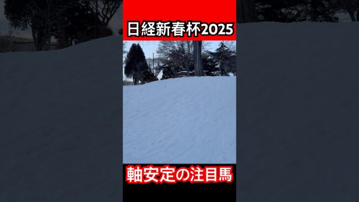 【日経新春杯2025 軸安定の注目馬‼️】毎週予想投稿中🐎 #日経新春杯 #競馬 #競馬予想 #中京競馬場 #ウマグチ #ショウナンラプンタ