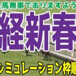 日経新春杯2025 枠順確定後ウイポシミュレーション【競馬予想】【展開予想】ヴェローチェエラ ホールネス メイショウタバル ロードデルレイ ショウナンラプンタ サトノグランツ バトルボーン