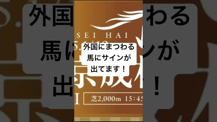 京成杯 2025 サイン馬券予想 #競馬 #サイン馬券 #競馬予想