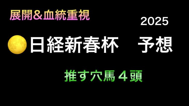 【競馬予想】　日経新春杯　2025  予想