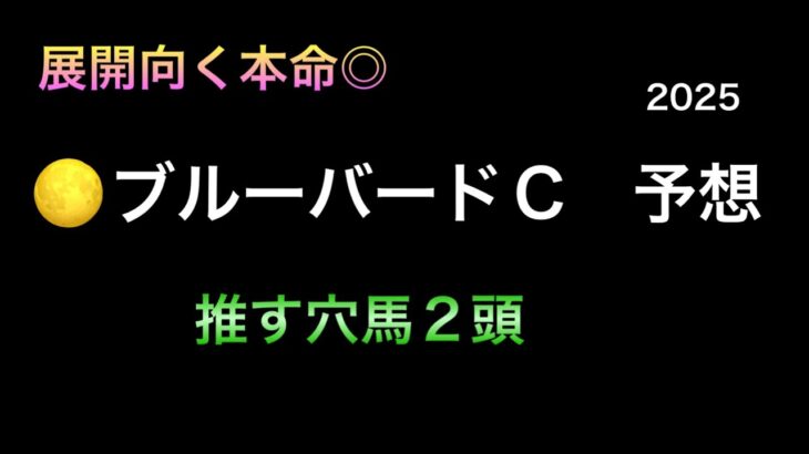 【競馬予想】　地方交流重賞　ブルーバードカップ　2025  予想