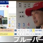 【2025ブルーバードカップ】前走 芝 は 継続するのか？ 実績着列競馬予想 船橋ブルーバードカップ予想 単複馬公開