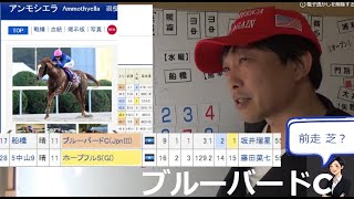 【2025ブルーバードカップ】前走 芝 は 継続するのか？ 実績着列競馬予想 船橋ブルーバードカップ予想 単複馬公開