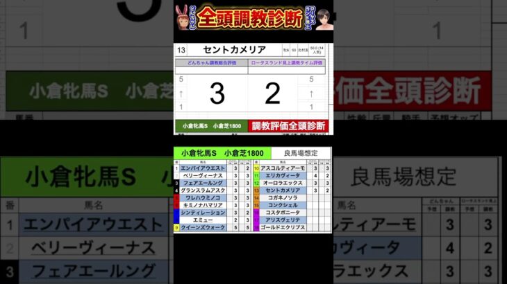 #小倉牝馬ステークス2025 #競馬予想ハイライト #全頭診断 #オーロラエックス　#セントカメリア　#コガネノソラ　#コスタボニータ