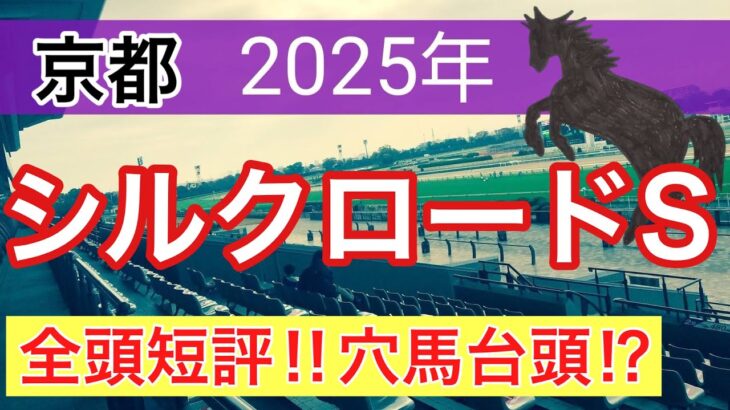 【シルクロードステークス2025】蓮の競馬予想(全頭短評)