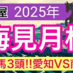 【梅見月杯2025】蓮の地方競馬予想