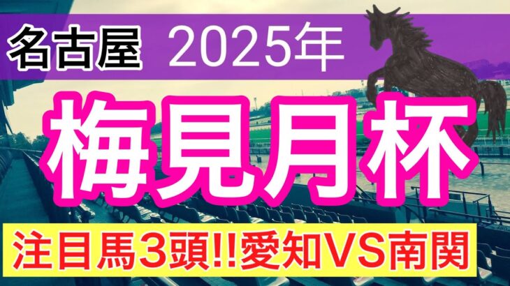 【梅見月杯2025】蓮の地方競馬予想