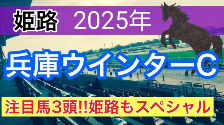 【兵庫ウインターカップ2025】蓮の地方競馬予想