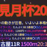 梅見月杯2025予想【名古屋競馬】全頭診断＋調教評価＋買い目