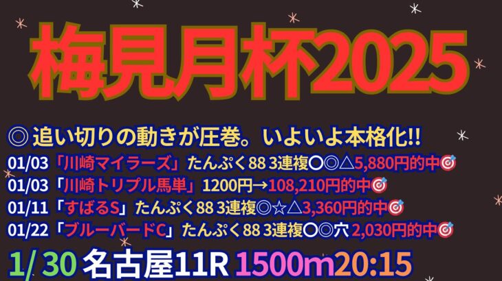 梅見月杯2025予想【名古屋競馬】全頭診断＋調教評価＋買い目