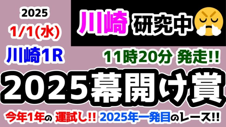 【川崎競馬研究中😏】2025年一発目のレース🎍  今年1年の運試し😉【2025.1.1 川崎1R 2025幕開け賞】