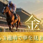 🎯 金杯2025（中山金杯、京都金杯）中間予想