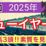 【ニューイヤーカップ2025】蓮の地方競馬予想