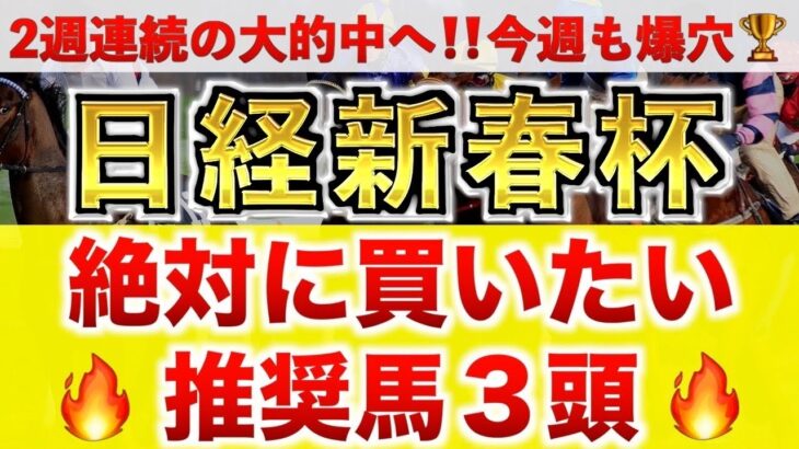 【日経新春杯2025 予想】ホールネス過去最高のデキ？プロが”全頭診断”から導く絶好の3頭！