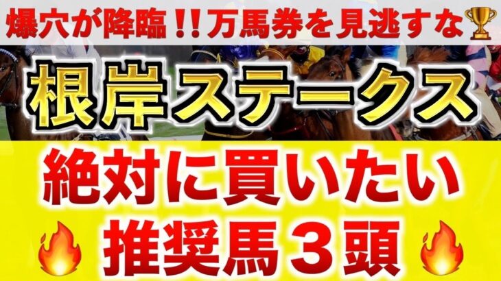 【根岸ステークス2025 予想】コスタノヴァ過去最高のデキ？プロが”全頭診断”から導く絶好の3頭！