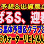 【 土曜日の競馬予想、出資馬企画、一口クラブ注目馬！】迎春ステークス、すばるステークス2025予想！勝ち馬はこの馬だ！