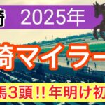 【川崎マイラーズ2025】蓮の地方競馬予想