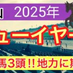 【ニューイヤーステークス2025】蓮の競馬予想