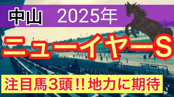 【ニューイヤーステークス2025】蓮の競馬予想