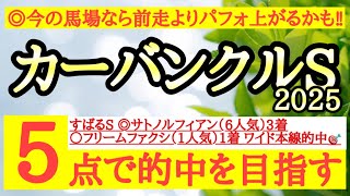 【カーバンクルステークス2025】◎今の中山の馬場が合いそうで前走よりパフォーマンスを上げる可能性があるあの馬から！