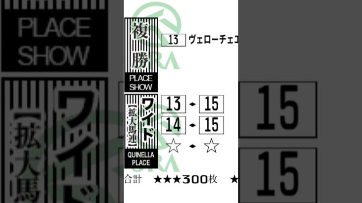 【競馬予想】日経新春杯2025