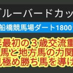 2025年ブルーバードカップの予想動画です。地方競馬の予想はお任せください。