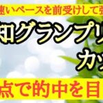 【報知グランプリカップ2025】◎前走速いペースの中で前受けして強いレースをしていたあの馬から！