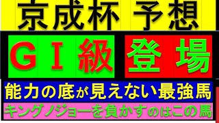 2025年 京成杯 予想【GⅠ級登場/普通に最強馬でしょ】