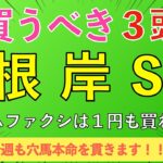 【2025 根岸S】買いたいのは穴馬３頭だけ！人気馬はほとんど買いません！