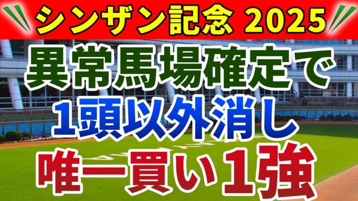 シンザン記念2025 競馬YouTuber達が選んだ【確信軸】中京で人気馬総崩れ？いや、唯一買える1強！