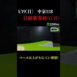 【買っちゃえばいいじゃん】日経新春杯(ＧⅡ) 2025 #競馬予想 #win5